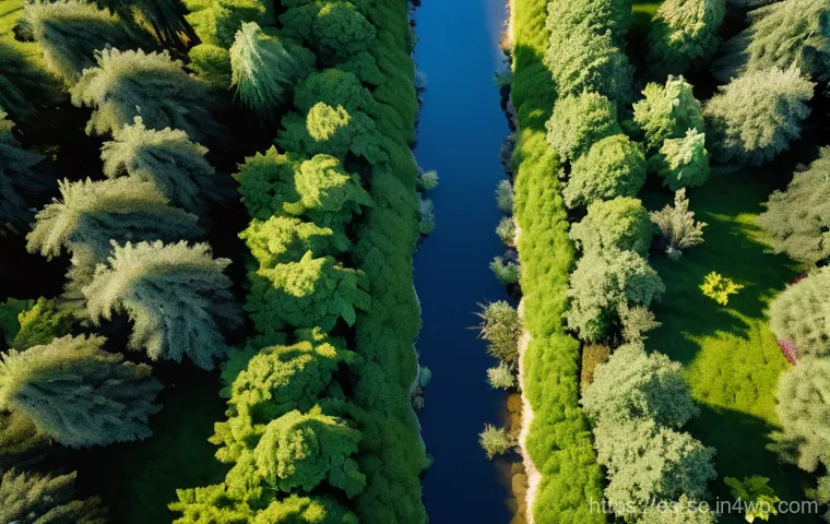 생태통로 설계에 적합한 식물 선정 기준 - **Prompt:** A vibrant, flourishing ecological corridor in a temperate climate, teeming with native p...